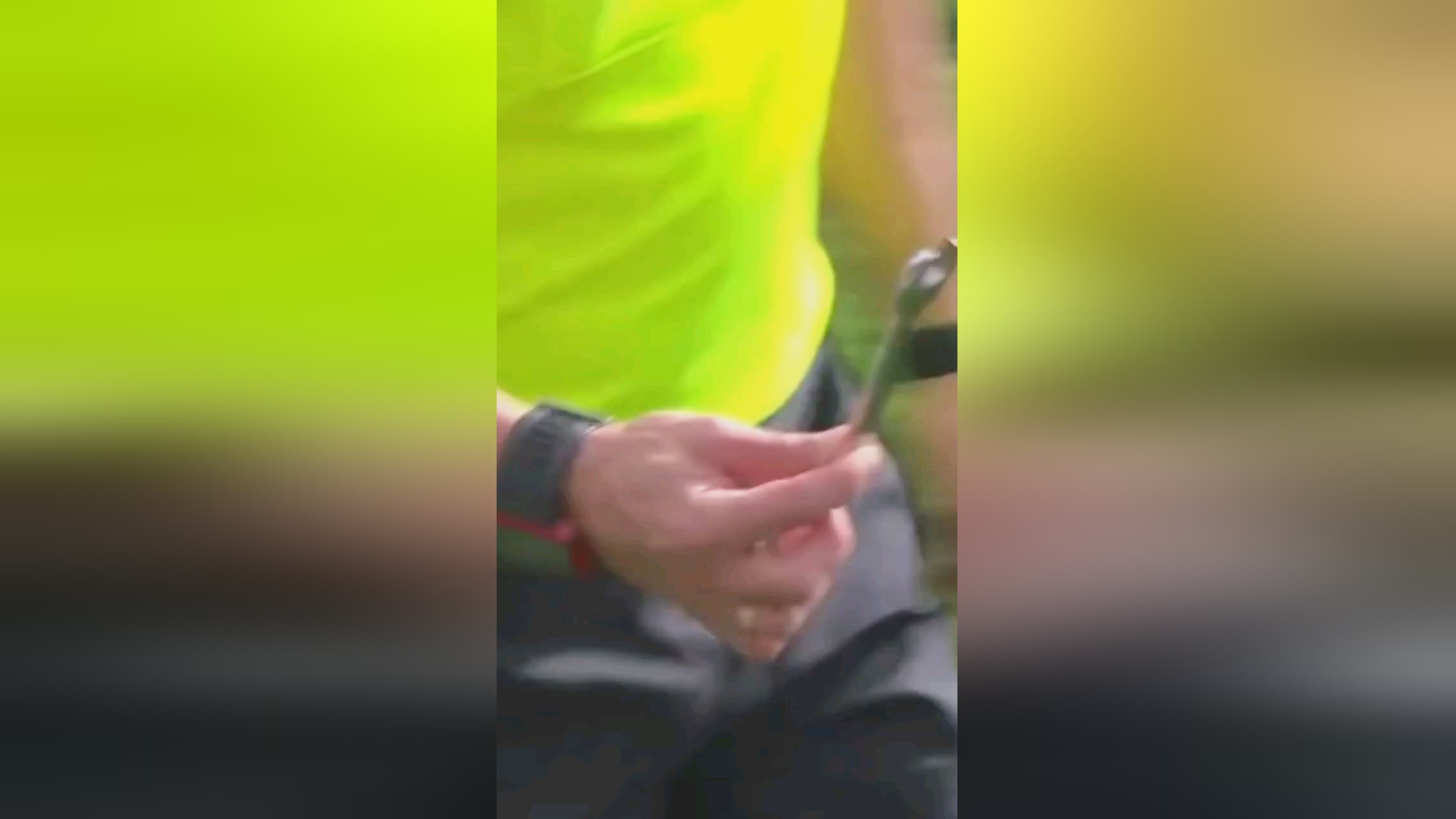 一些成年球